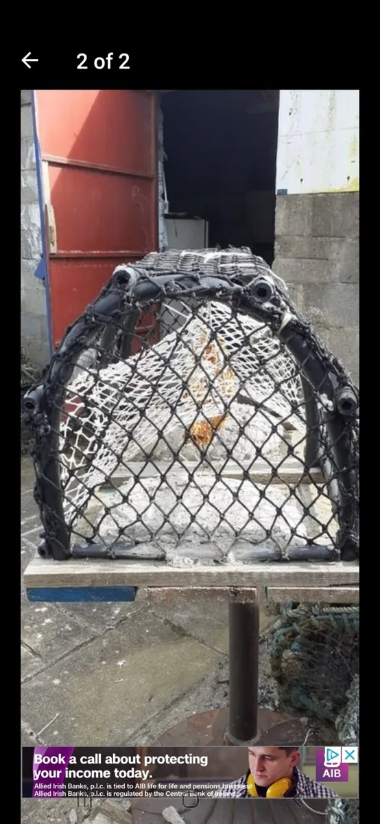 Lobster pots for sale - Image 1
