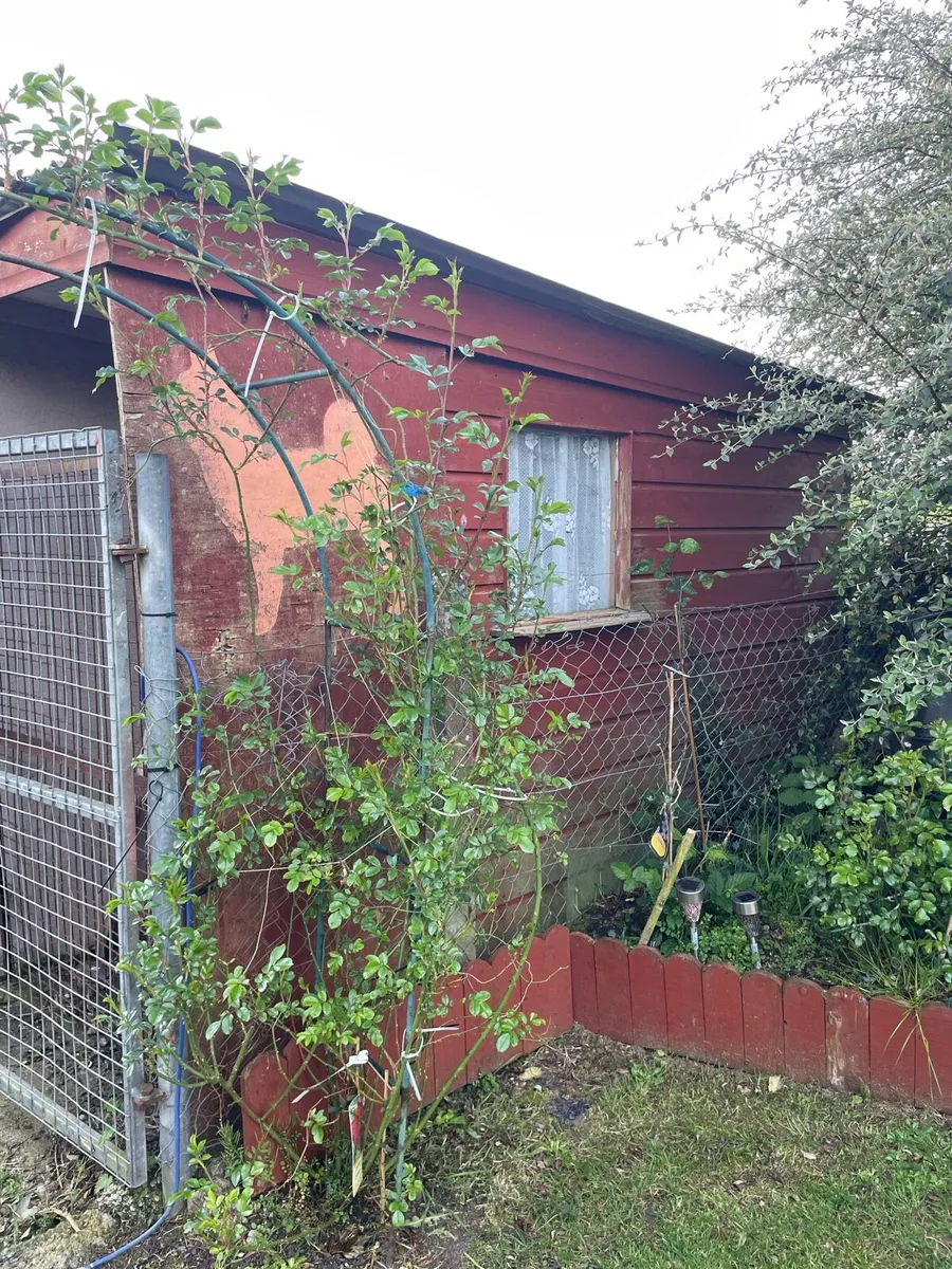 Shed - Image 1
