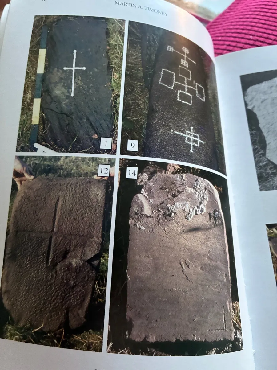 Sligo Field Club Journals-2015/2016 - Image 4