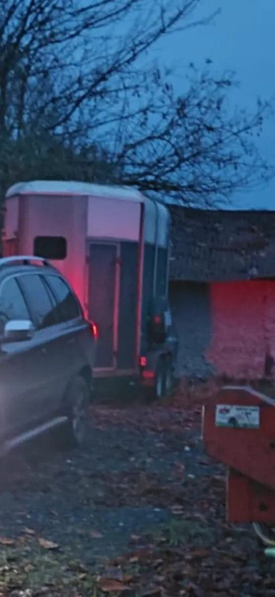 Stolen reward offered - Image 1