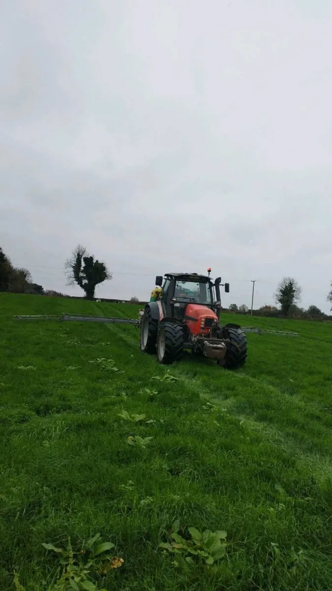 Reseeding - Image 2