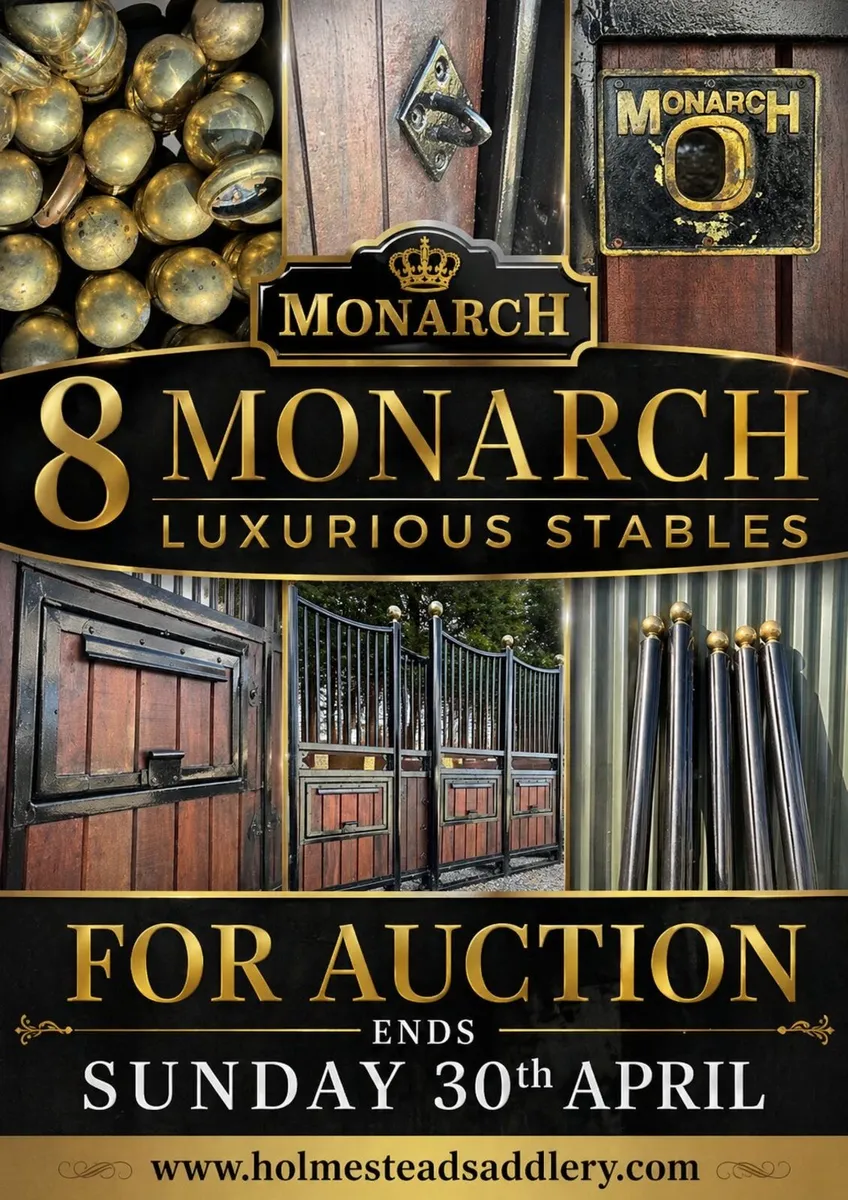 🩸Auction 8 Monarch Luxury Internal Stable🩸 - Image 1