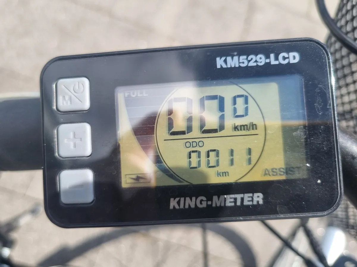 Electric Bike - Image 2