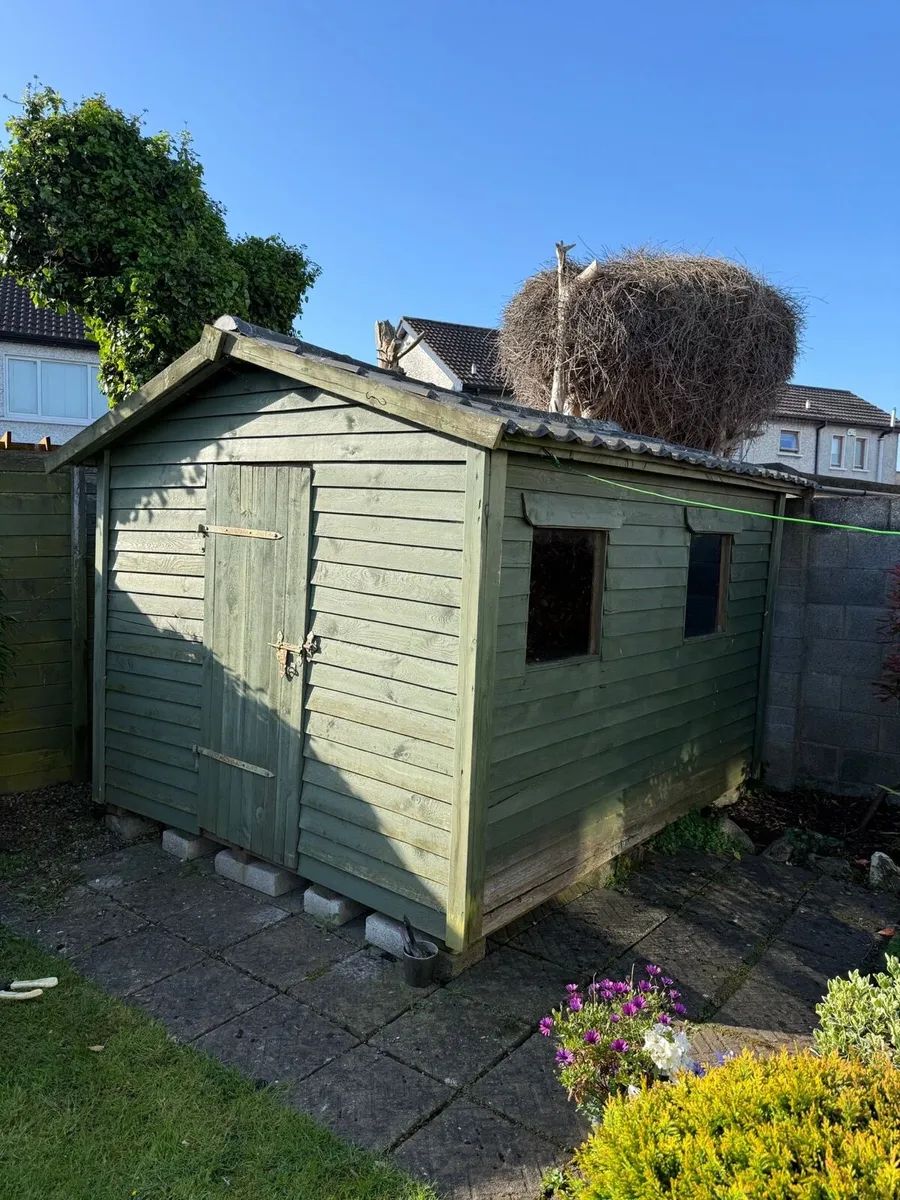 Shed - Image 1