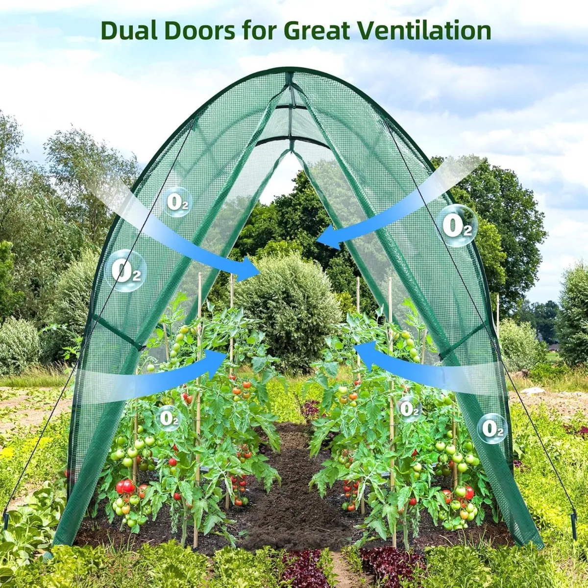 Polytunnel Greenhouse Outdoor: 180x180x200 cm - Image 3