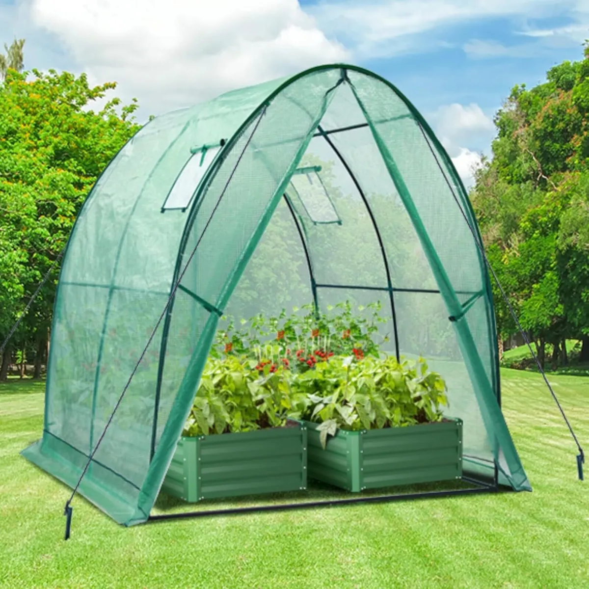 Polytunnel Greenhouse Outdoor: 180x180x200 cm - Image 1
