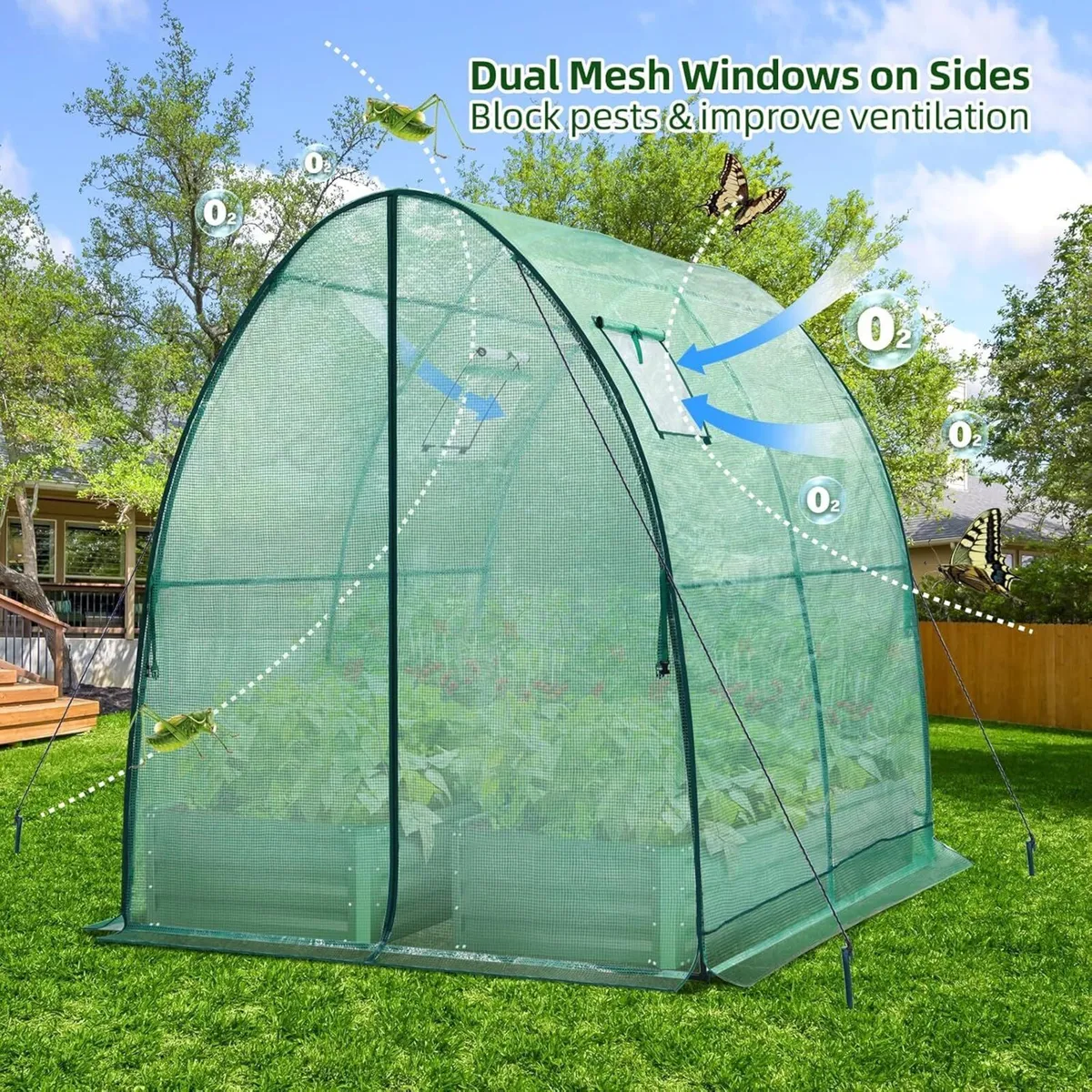 Polytunnel Greenhouse Outdoor: 180x180x200 cm - Image 4
