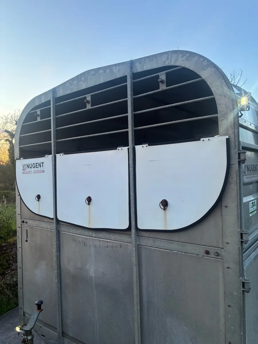 Nugent 12 foot Cattle trailer - Image 3