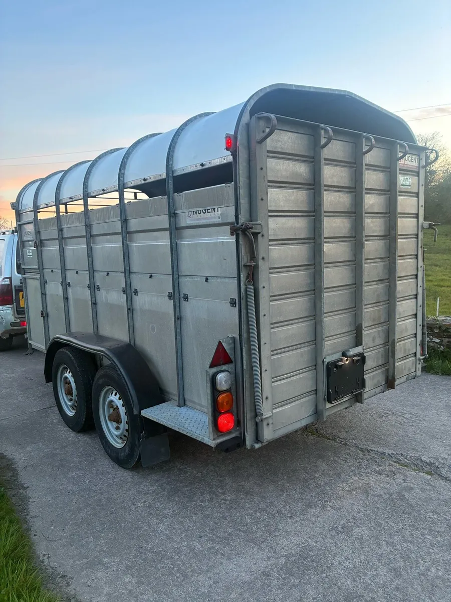 Nugent 12 foot Cattle trailer - Image 4