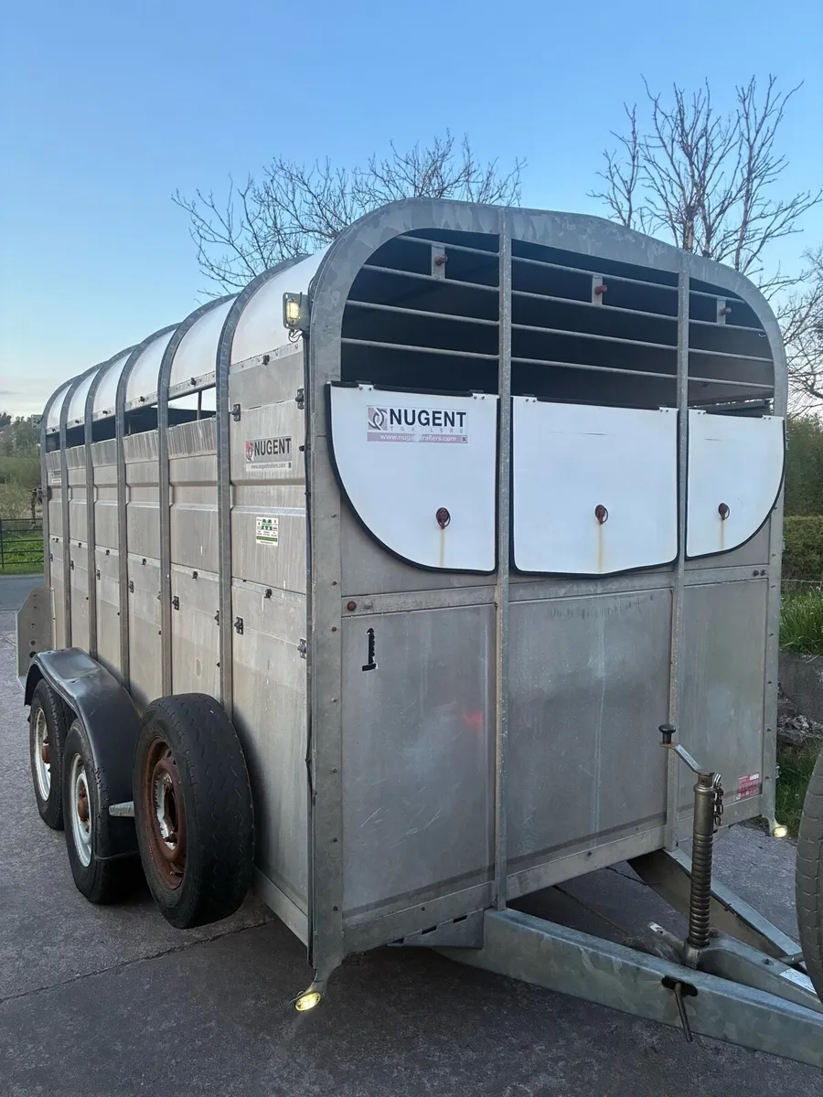 Nugent 12 foot Cattle trailer - Image 2