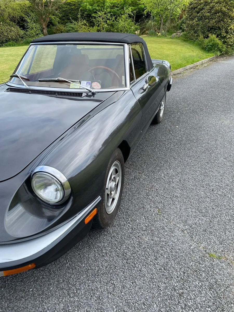 Alfa Romeo Spider - Image 2