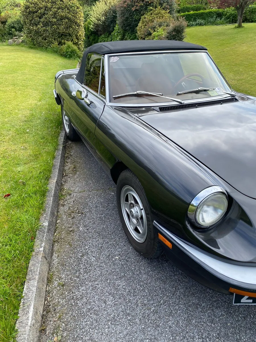 Alfa Romeo Spider - Image 3
