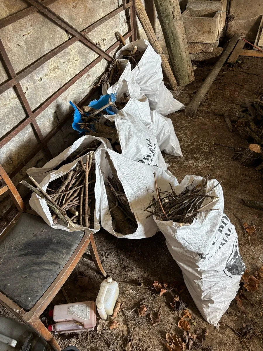 Firewood £200 to clear or £8 a bag of them - Image 3