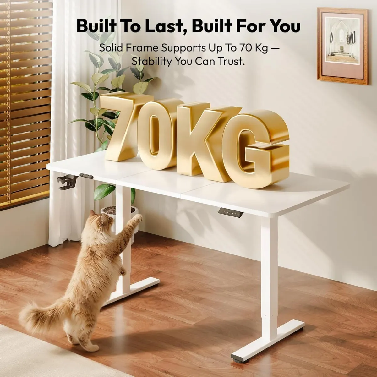 QS1+140 x 60 Electric Standing Desk Height - Image 4