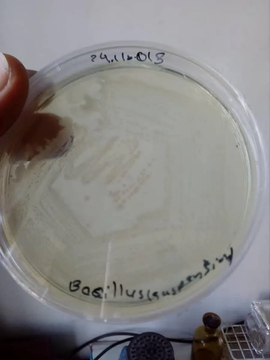 Liquid Bio Stimulator - Image 2