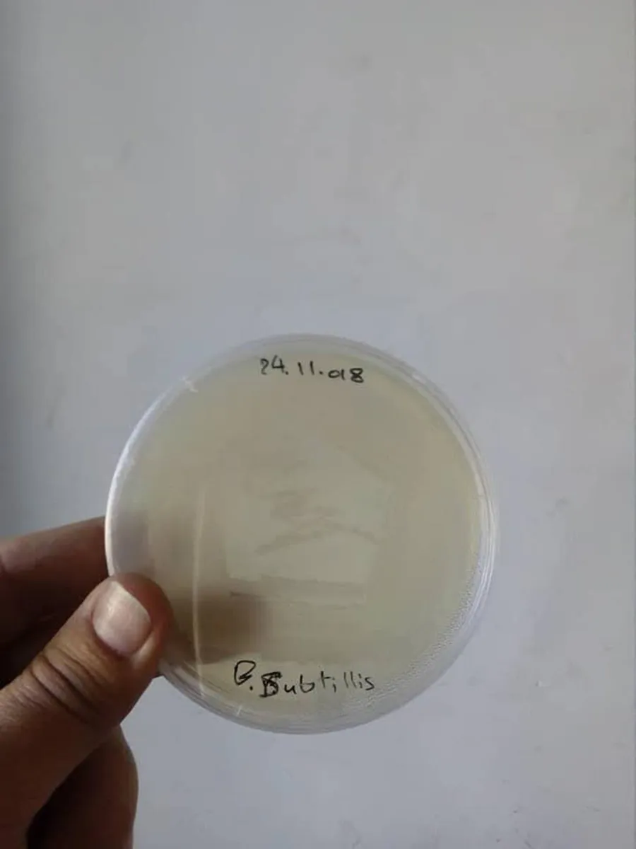 Liquid Bio Stimulator - Image 3