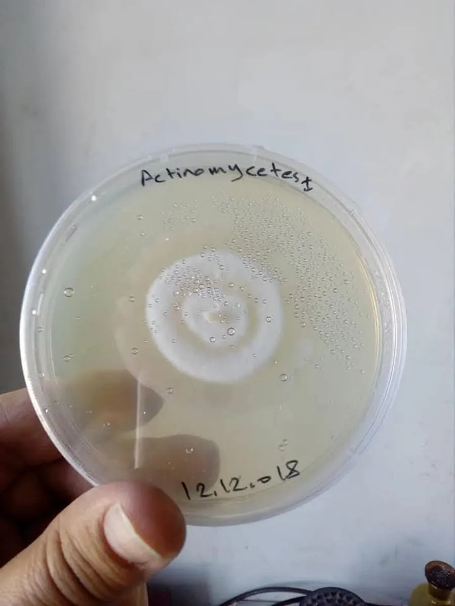 Liquid Bio Stimulator - Image 4