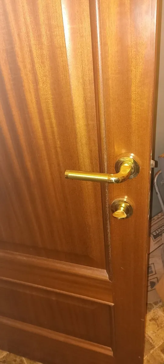 Bathroom Door - Image 1