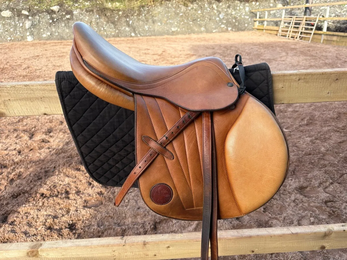 Ucha Jumping Saddle, 17,5“ WIDE - Image 1