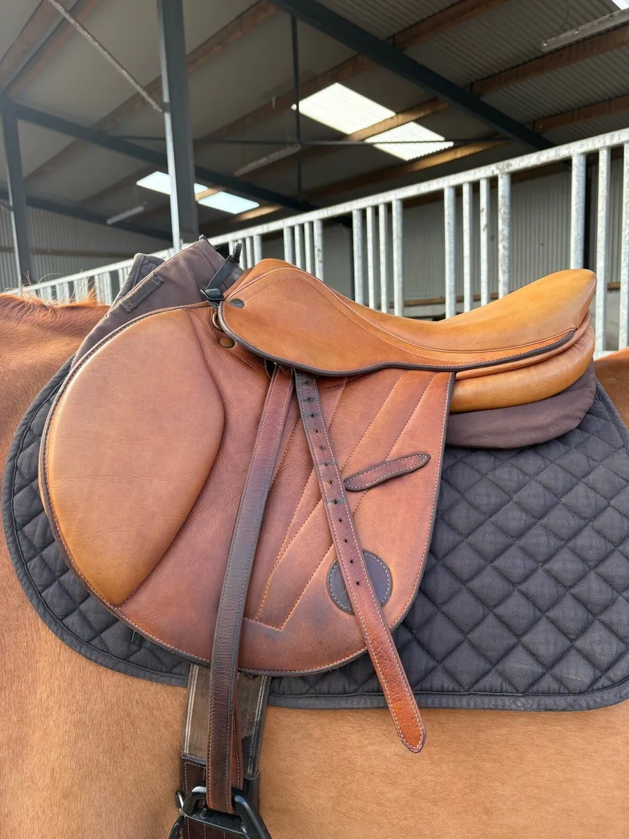 Ucha Jumping Saddle, 17,5“ WIDE - Image 2