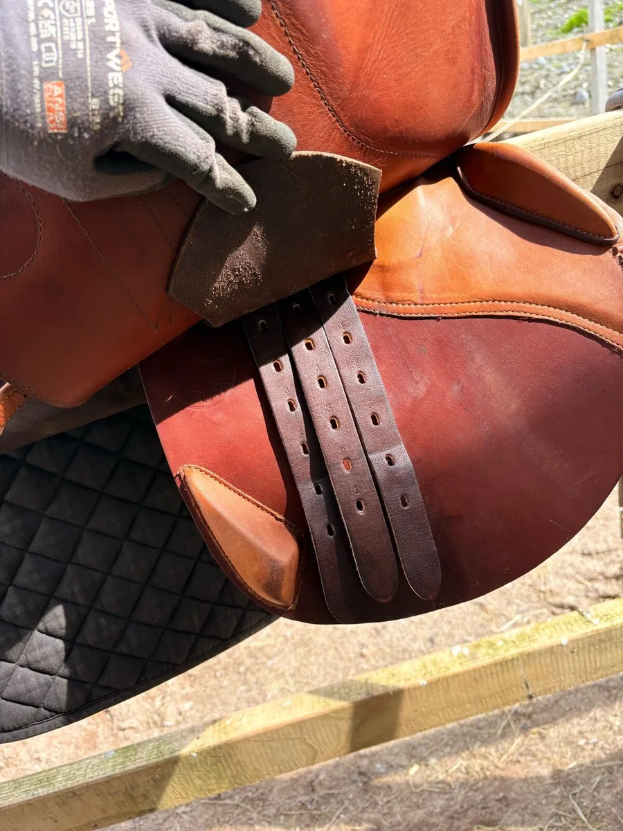 Ucha Jumping Saddle, 17,5“ WIDE - Image 4