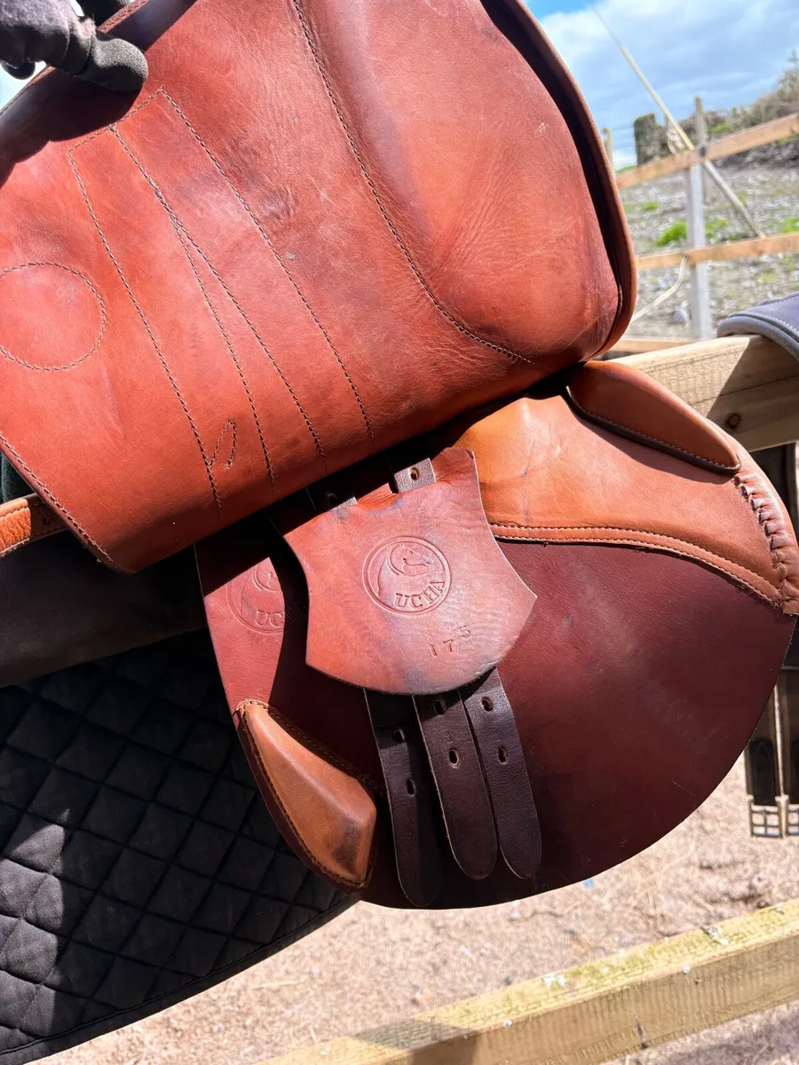 Ucha Jumping Saddle, 17,5“ WIDE - Image 3