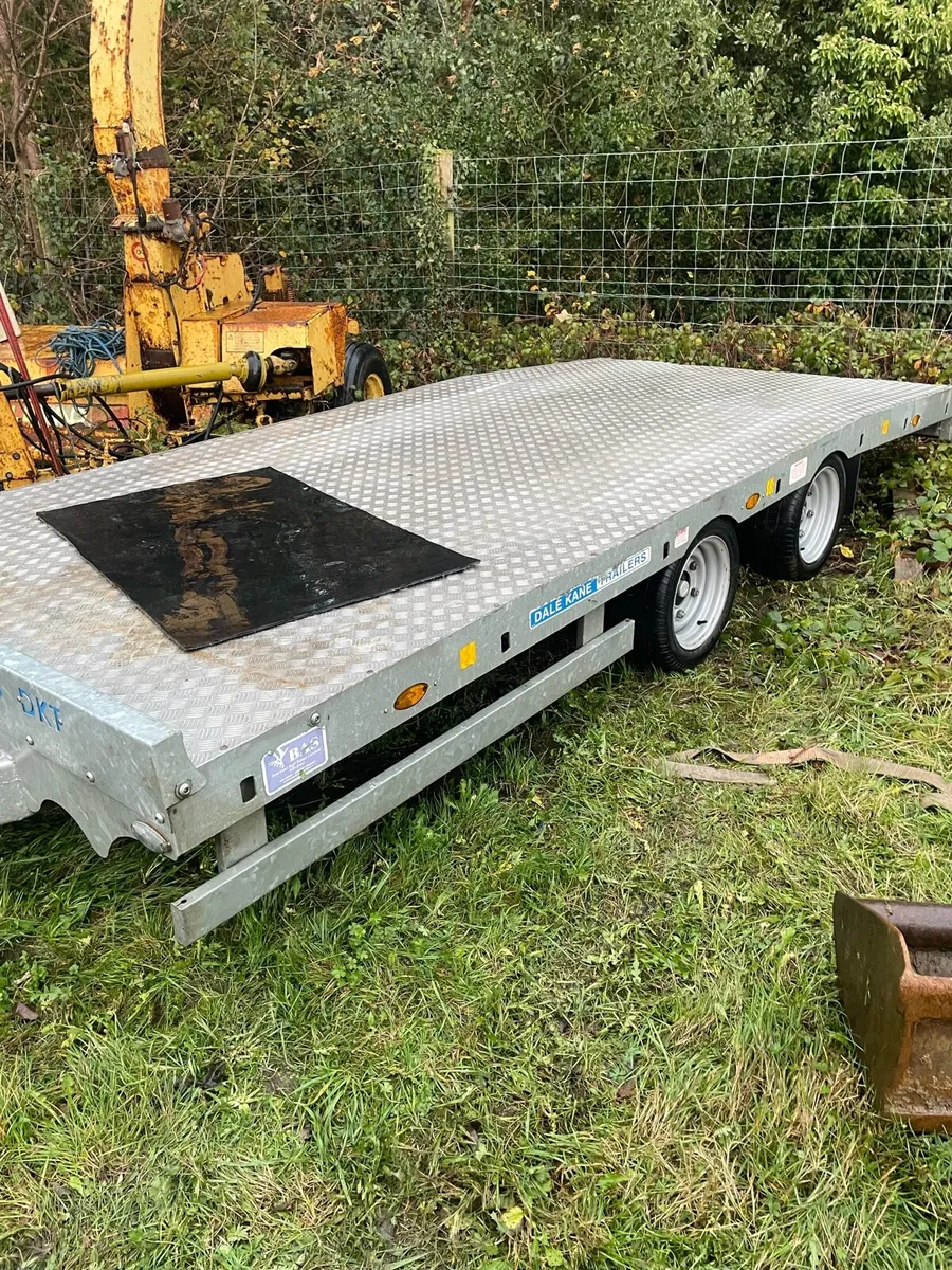 Dane kale 14ft trailer - Image 4