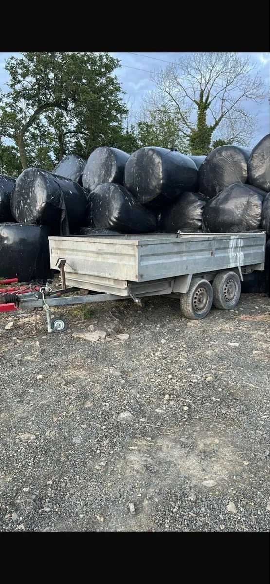 Tipper trailer - Image 2