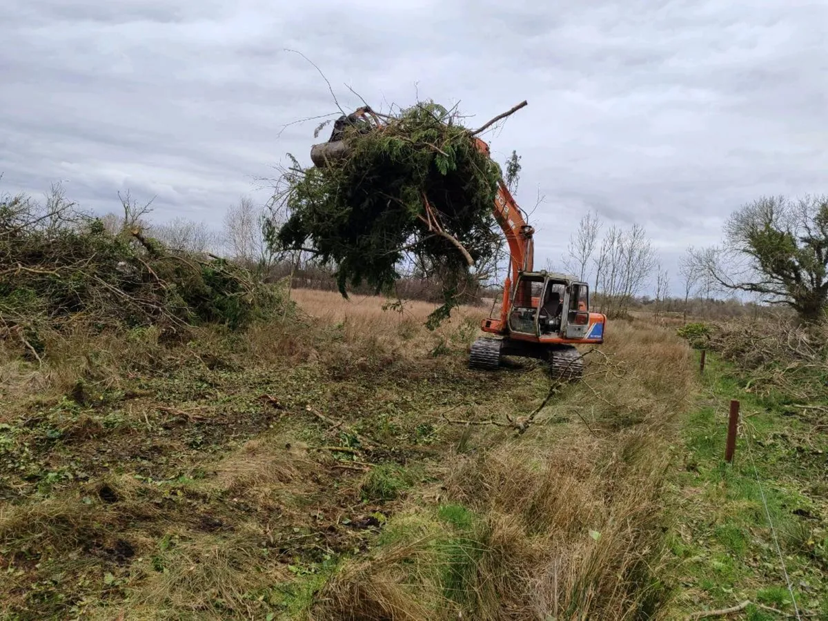 Digger hire - Image 3