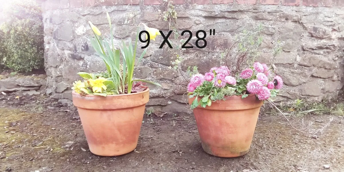 Terracotta Flower Planters For SALE - Image 2