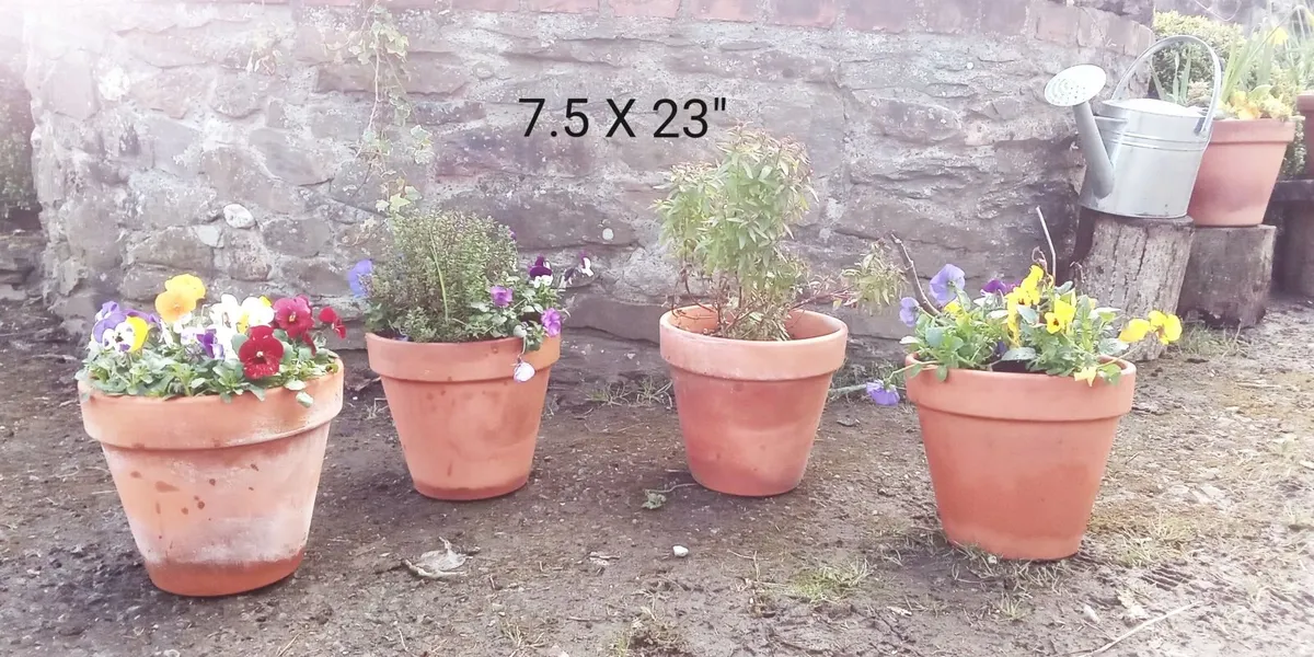 Terracotta Flower Planters For SALE - Image 4