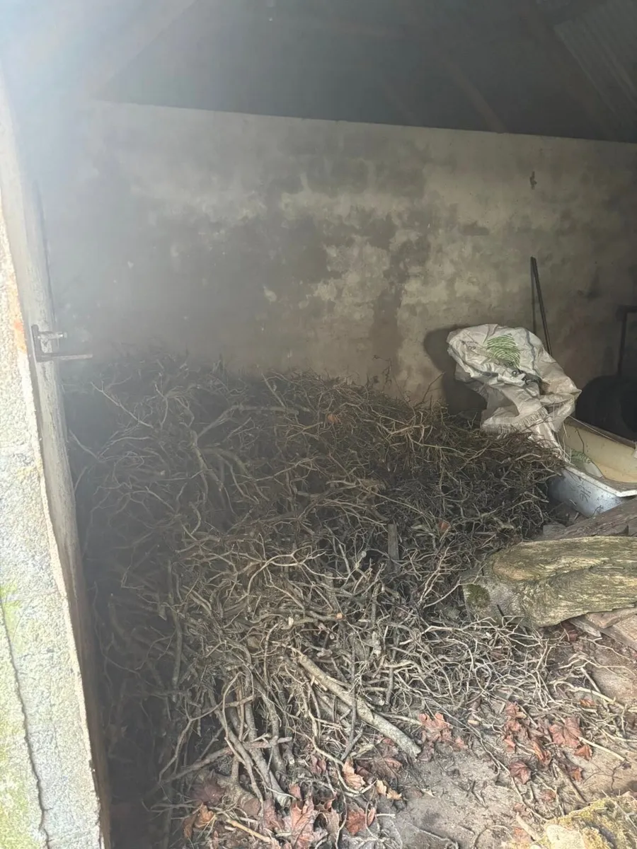 Firewood £200 to clear or £8 a bag of them - Image 4