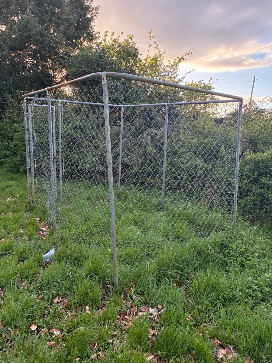 Dog Cage - Image 2