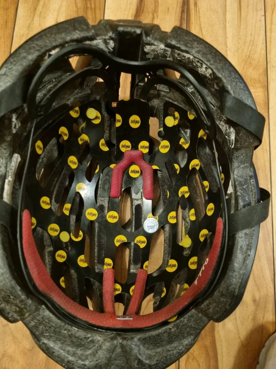 Lazer Mips - Image 2