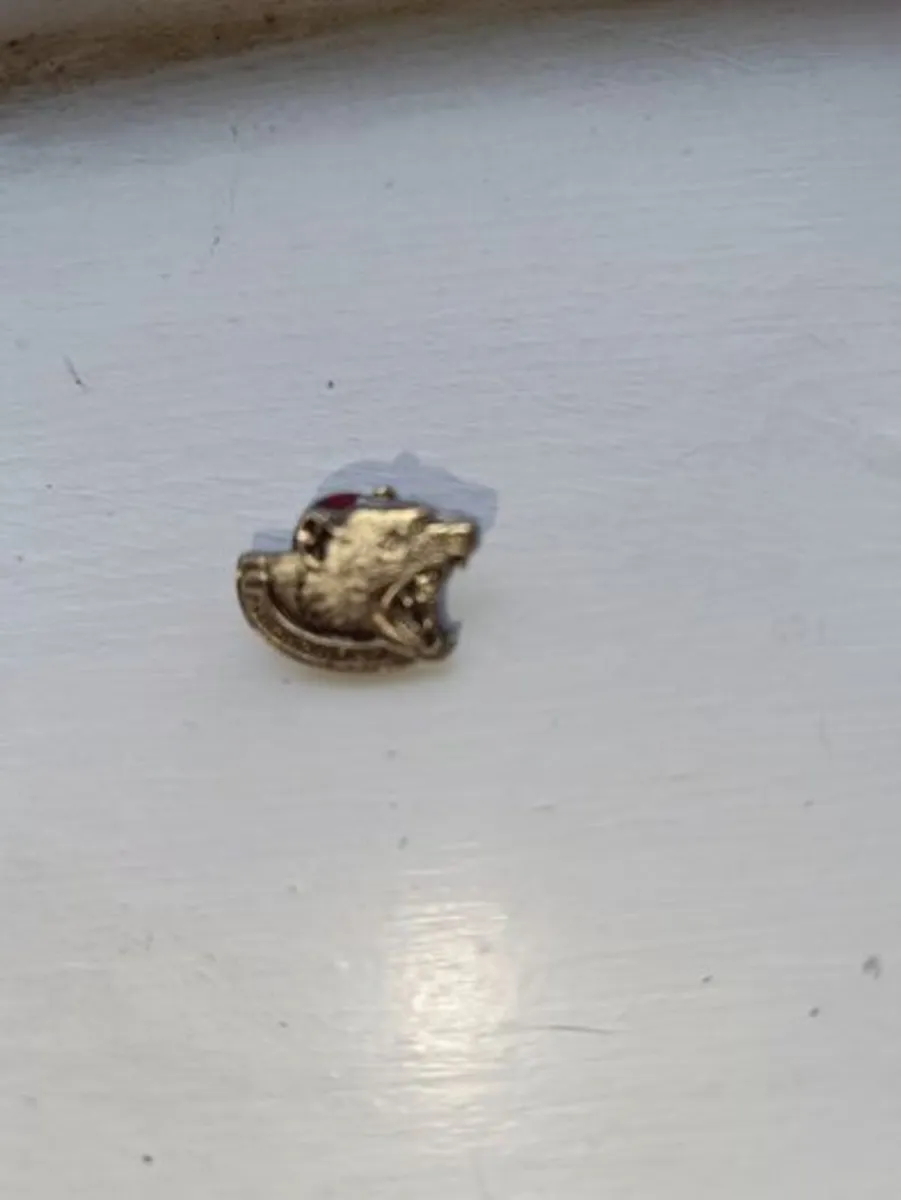 Jacket Pin - Image 1
