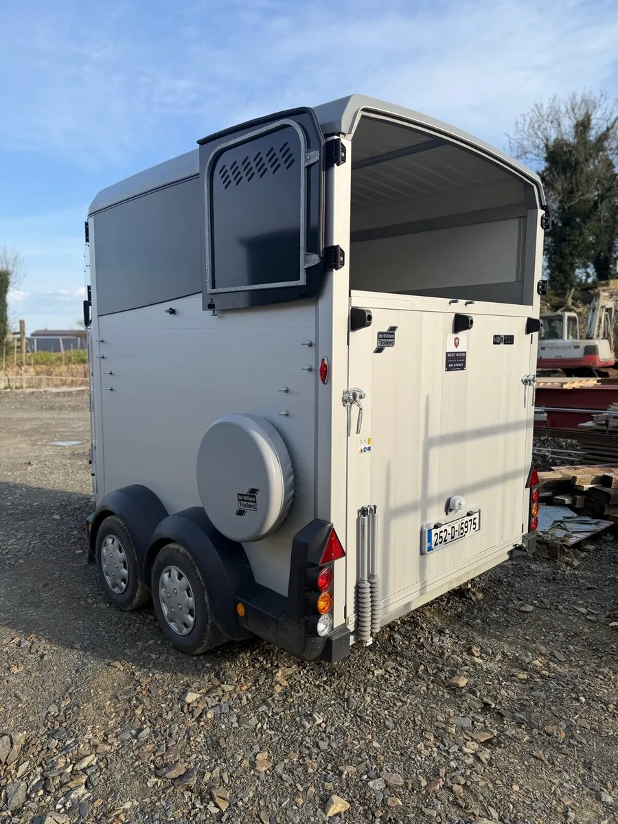2025 Ifor Williams HB X 511 Horsebox - Image 4