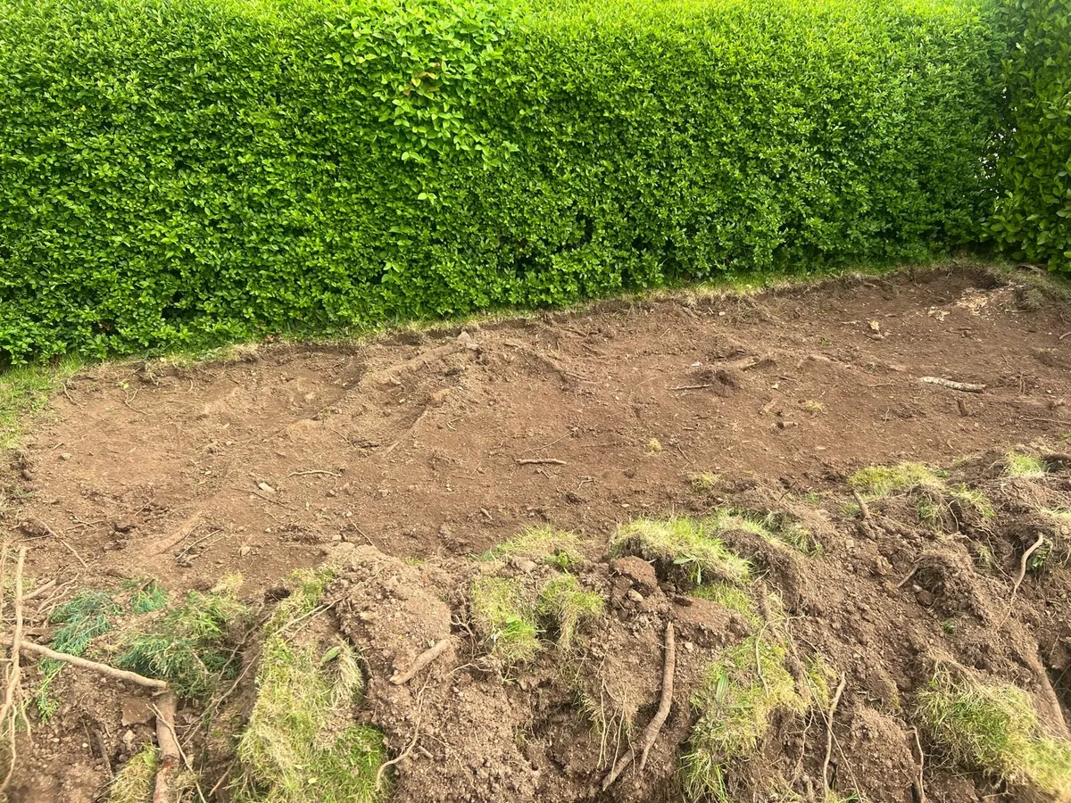 Free Top Soil - Image 2