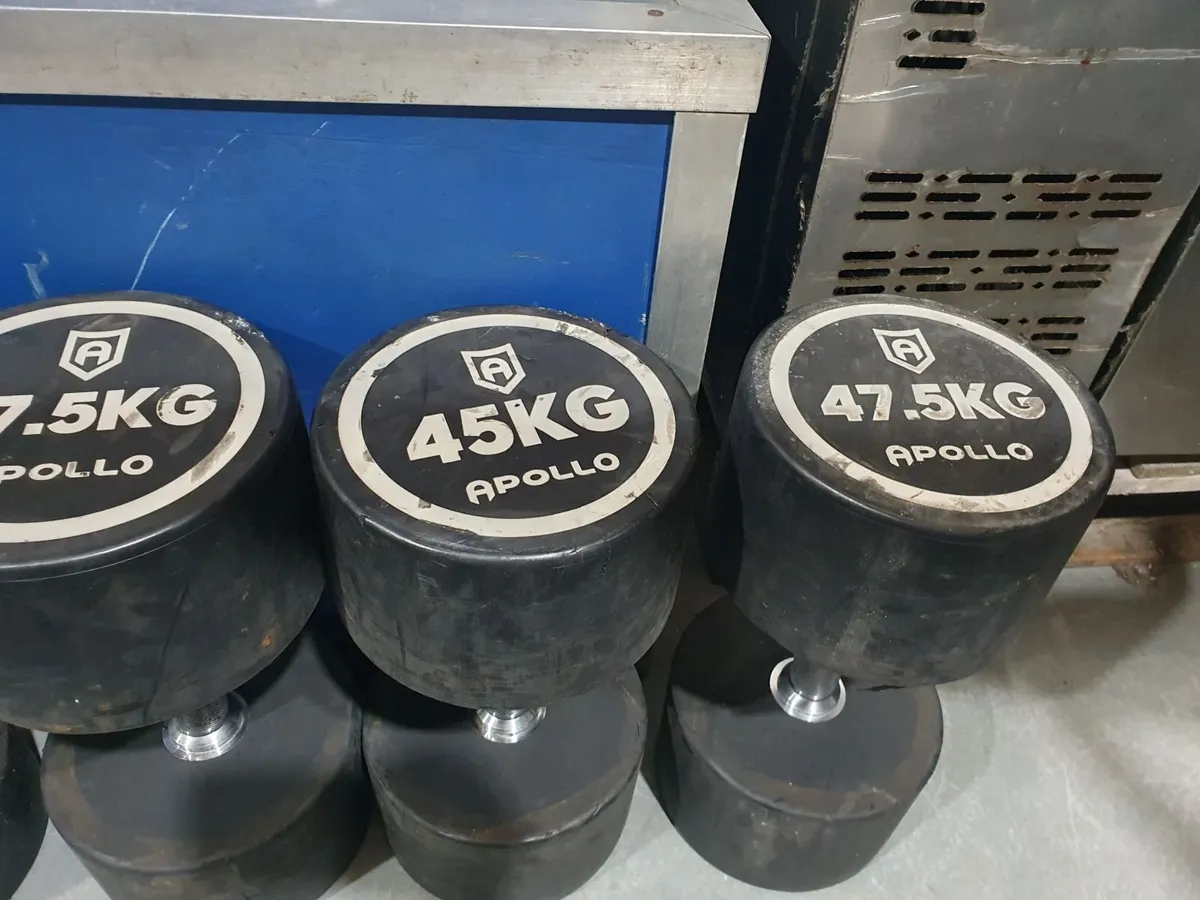 Online Auction Of Unreserved Gym Equipment - Image 3