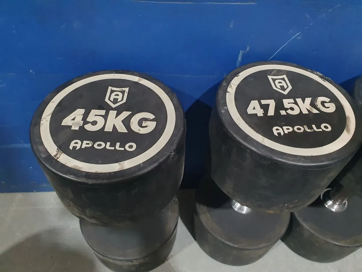 Online Auction Of Unreserved Gym Equipment - Image 2