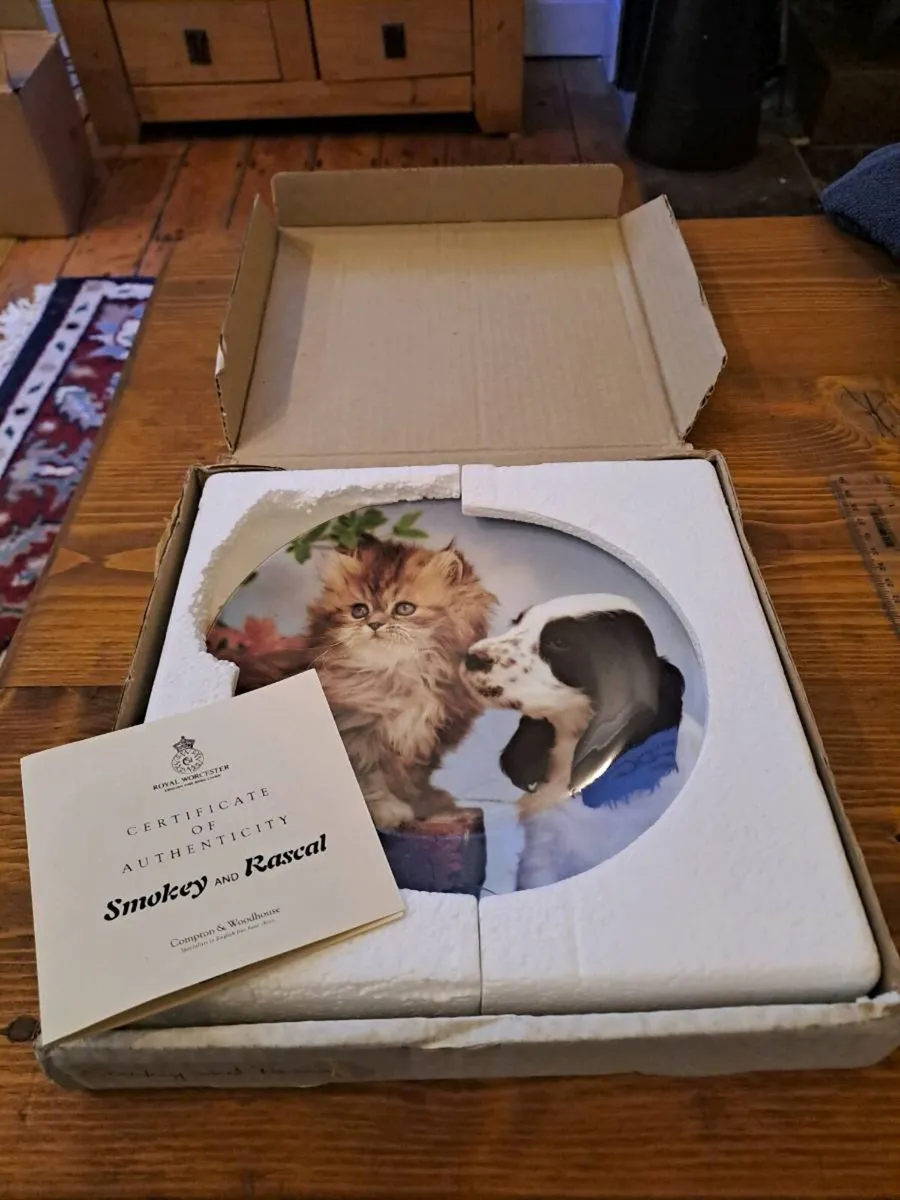 Royal Worcester Smokey and Rascal Collector Plate - Image 1