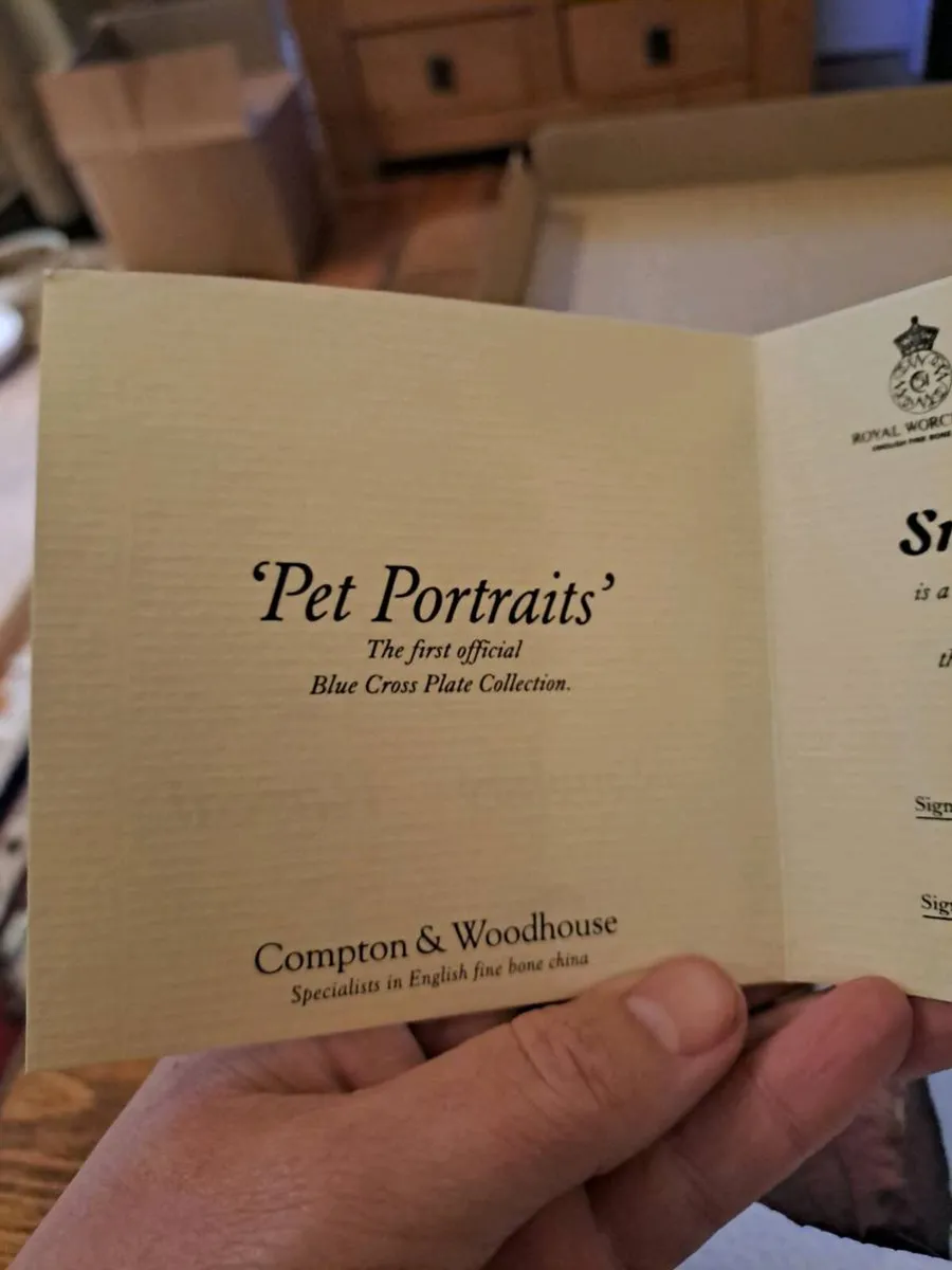 Royal Worcester Smokey and Rascal Collector Plate - Image 2