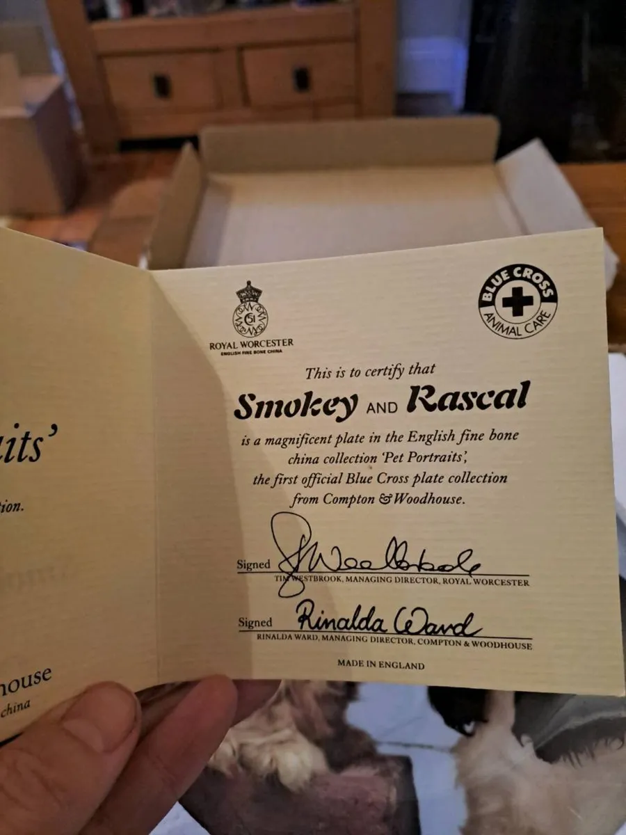 Royal Worcester Smokey and Rascal Collector Plate - Image 3