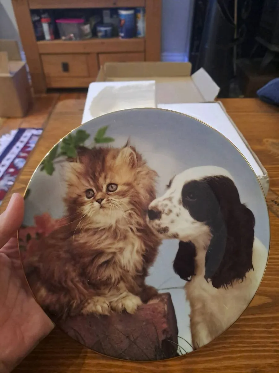 Royal Worcester Smokey and Rascal Collector Plate - Image 4