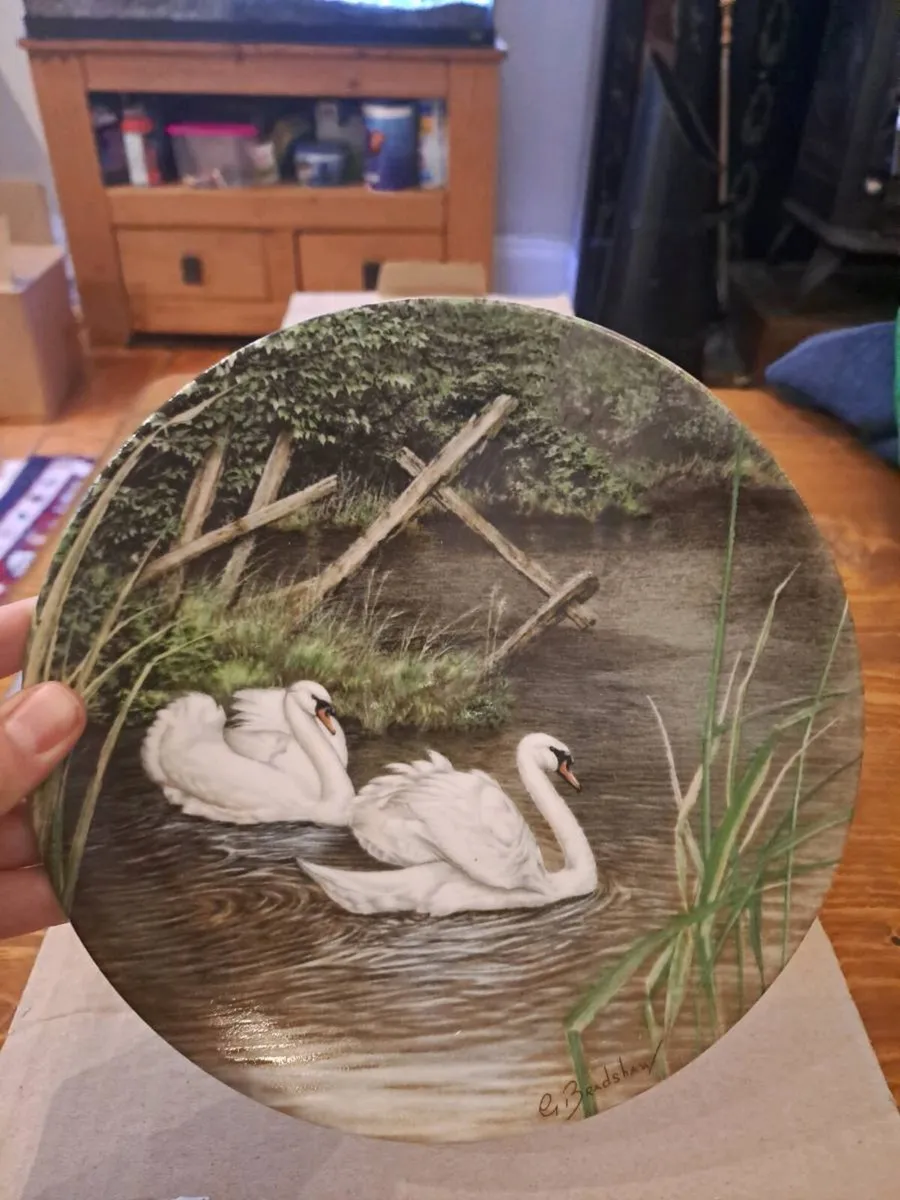 Royal Worcester Swan Lake Limited Edition - Image 4