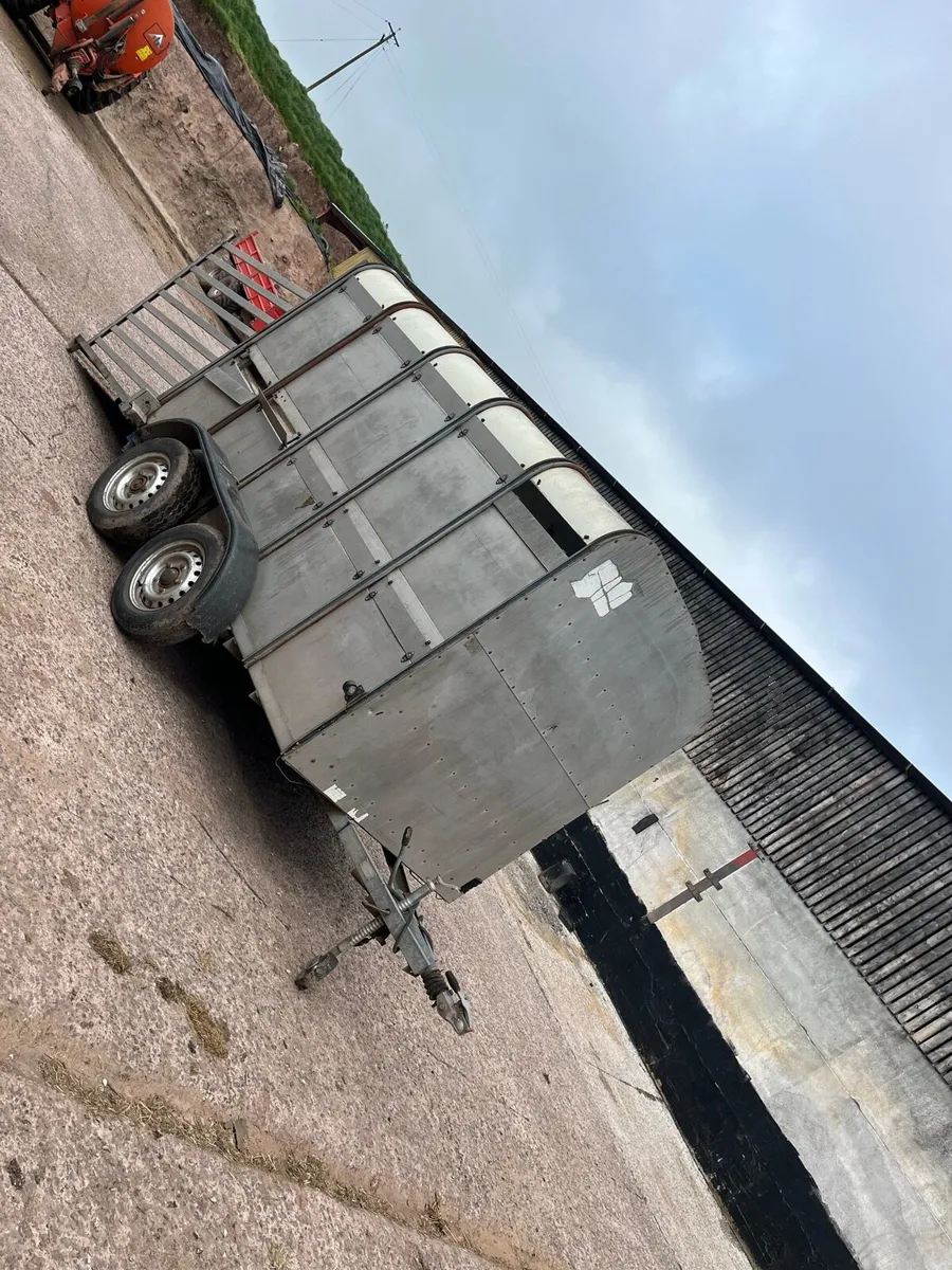 Ifor Williams cattle trailer - Image 1