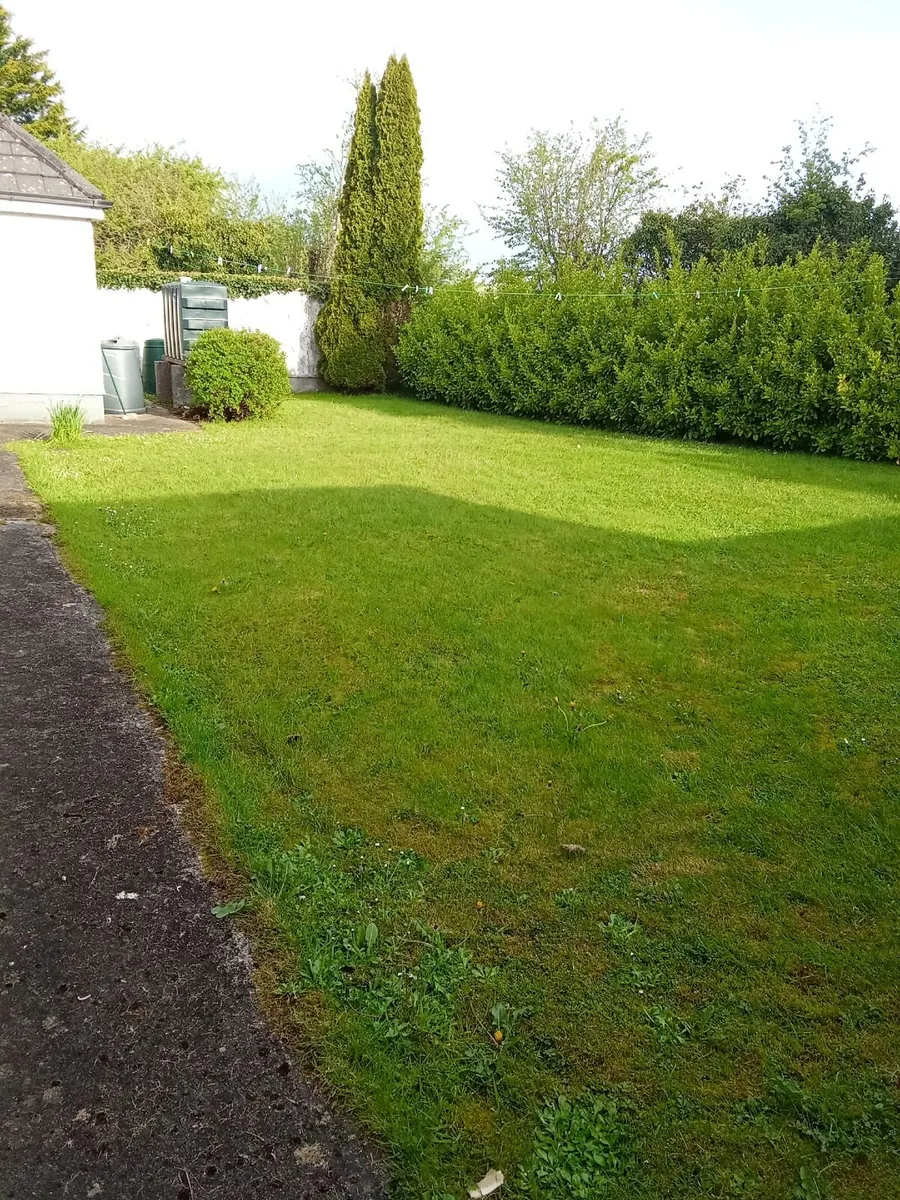 If anyone in ennis needs there grass cutting - Image 2