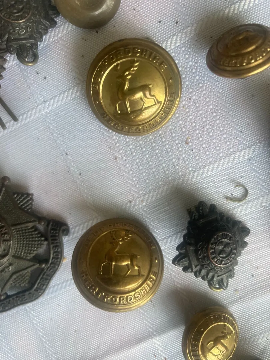 Antique Militaria - Buttons/Badges - Image 4