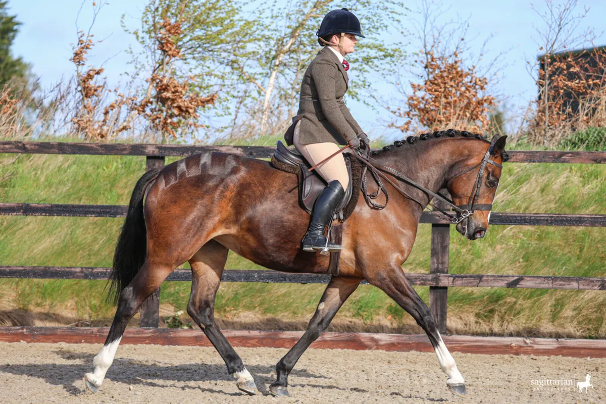 Schooling/Sales Livery - Image 1