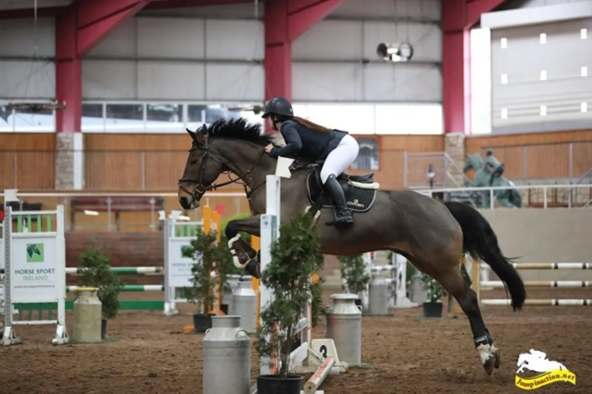Schooling/Sales Livery - Image 4