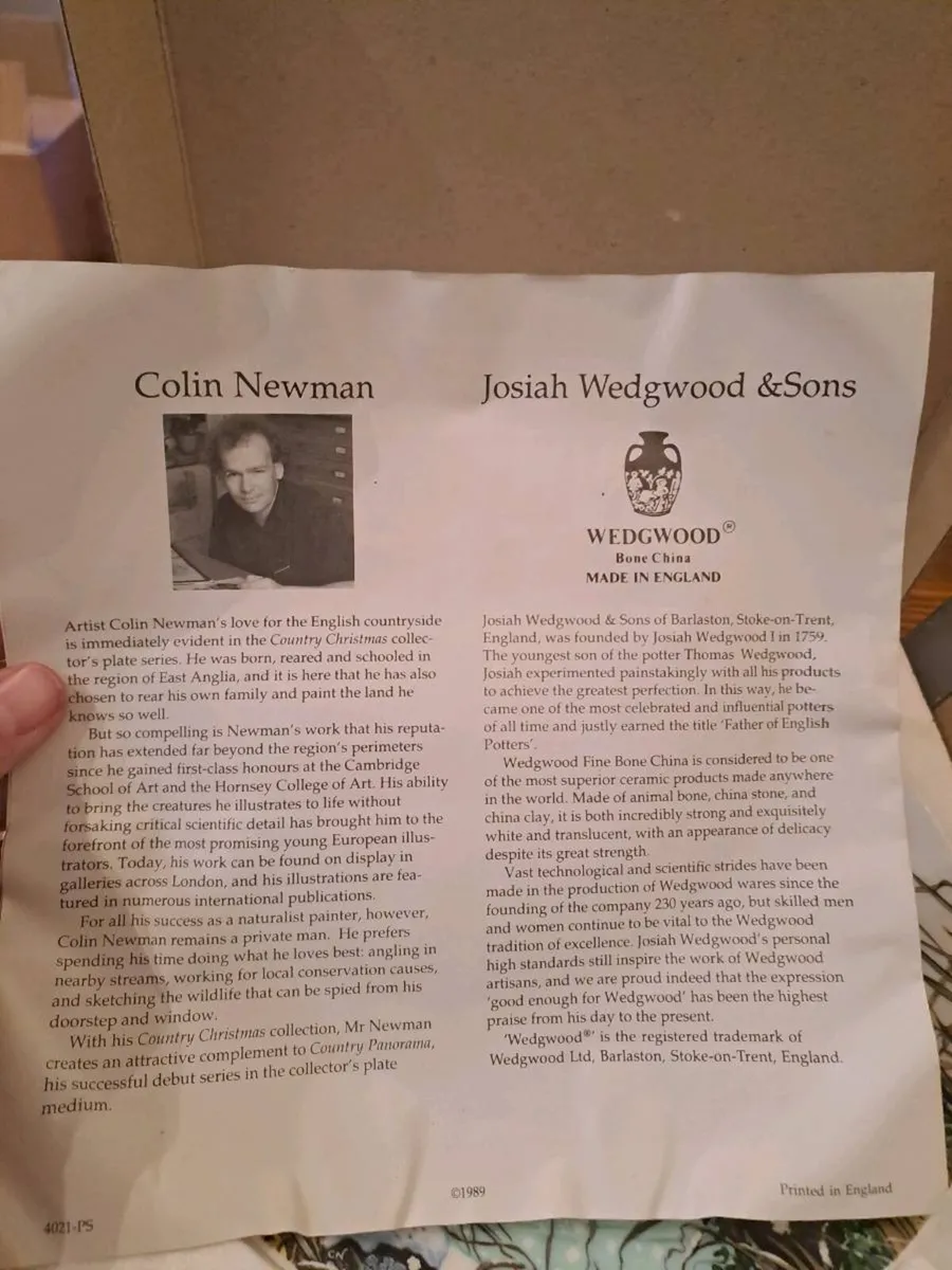 Wedgwood Collector Plate Skating on the Fen Boxed - Image 4